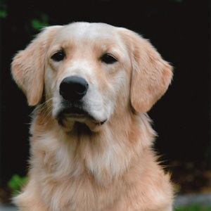 Meet your Posher, Beverly